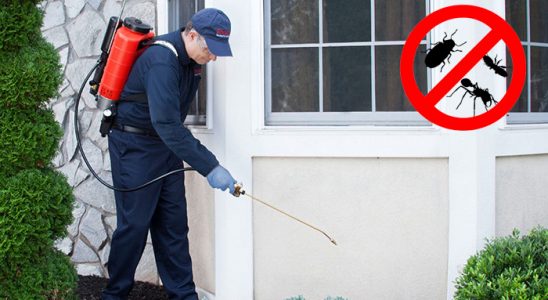 Aydın Akrep İlaçlama böcek ilaçlama ve haşere kontrolü — ilaclama-tr.com